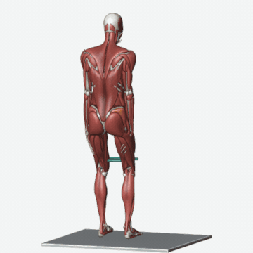 Animation of the banded lateral walk exercise