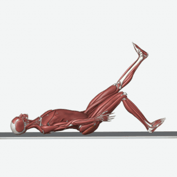 Animation of the single-leg bridge exercise