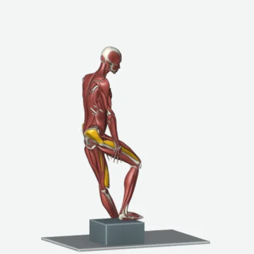 انیمیشن حرکت پایین آمدن کنترل‌شده از پله